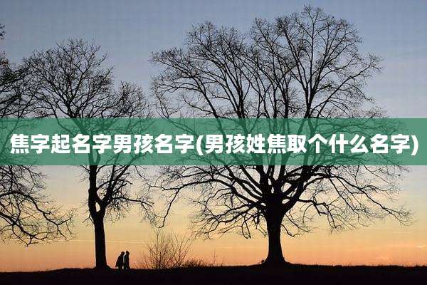焦字起名字男孩名字(男孩姓焦取个什么名字)