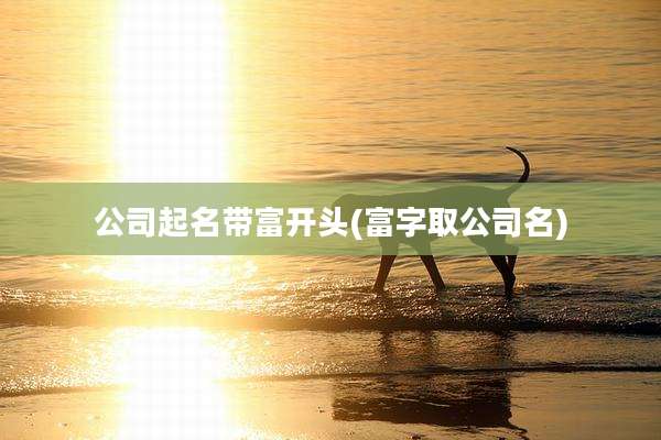 公司起名带富开头(富字取公司名)