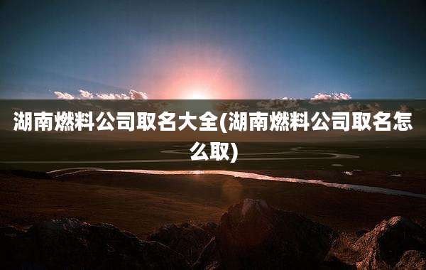 湖南燃料公司取名大全(湖南燃料公司取名怎么取)