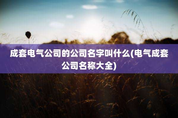 成套电气公司的公司名字叫什么(电气成套公司名称大全)