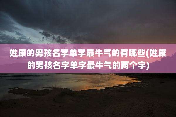 姓康的男孩名字单字最牛气的有哪些(姓康的男孩名字单字最牛气的两个字)