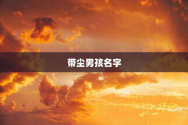 带尘男孩名字