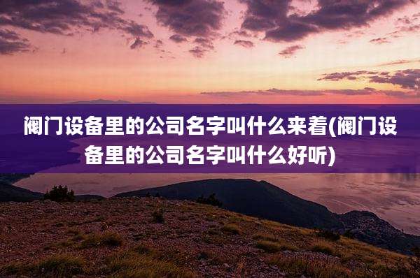 阀门设备里的公司名字叫什么来着(阀门设备里的公司名字叫什么好听)