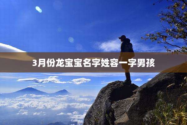3月份龙宝宝名字姓容一字男孩