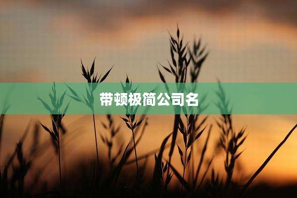 带顿极简公司名