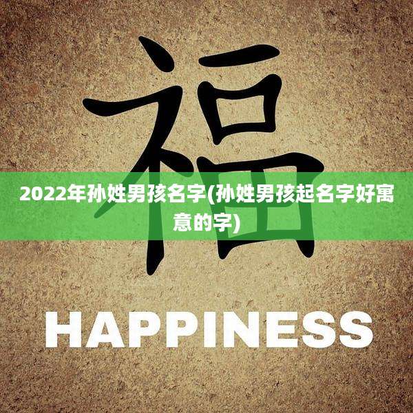 2022年孙姓男孩名字(孙姓男孩起名字好寓意的字)