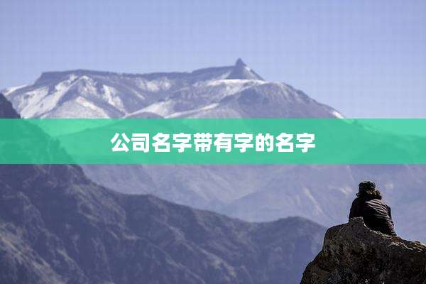 公司名字带有字的名字