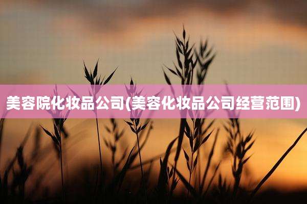 美容院化妆品公司(美容化妆品公司经营范围)