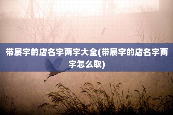 带展字的店名字两字大全(带展字的店名字两字怎么取)