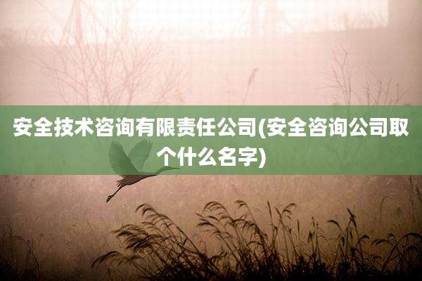 安全技术咨询有限责任公司(安全咨询公司取个什么名字)