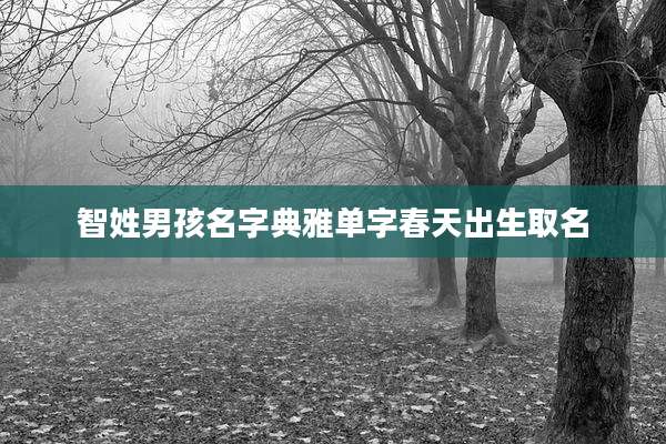 智姓男孩名字典雅单字春天出生取名