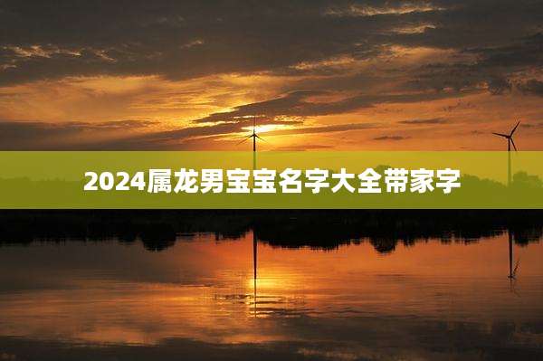 2024属龙男宝宝名字大全带家字