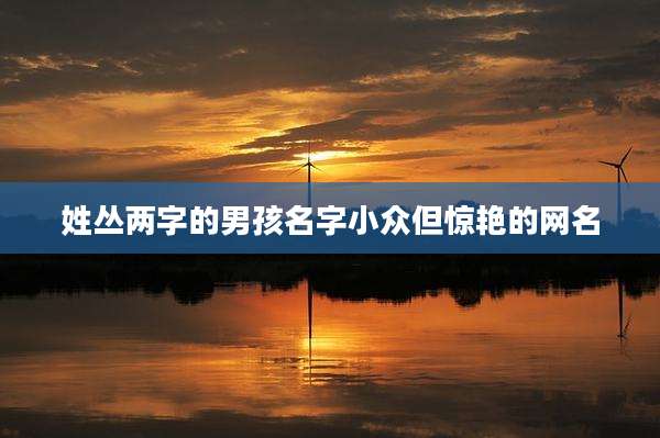 姓丛两字的男孩名字小众但惊艳的网名