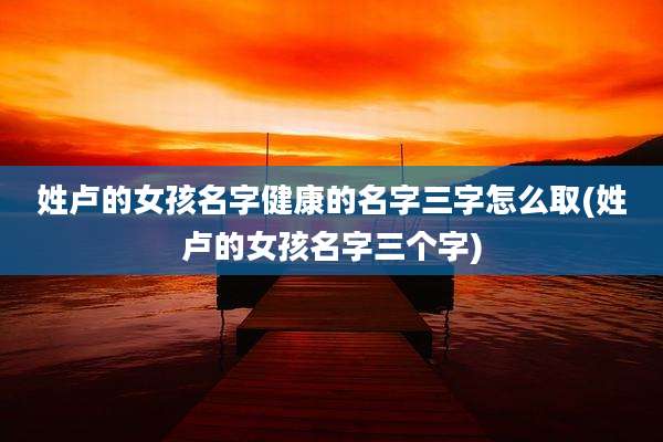 姓卢的女孩名字健康的名字三字怎么取(姓卢的女孩名字三个字)