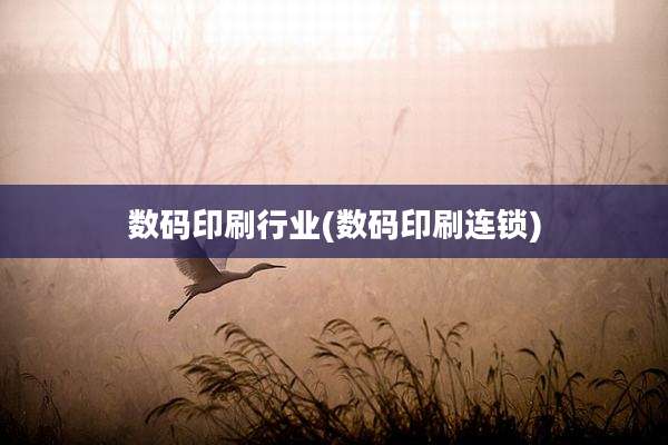 数码印刷行业(数码印刷连锁)