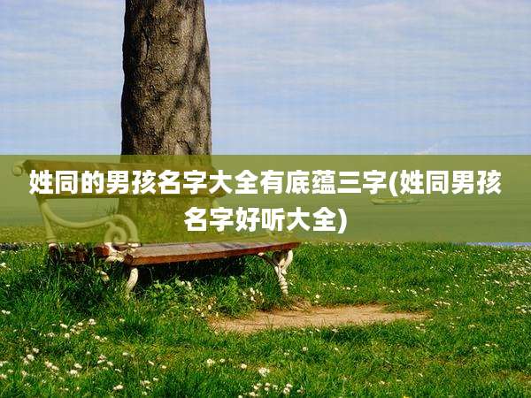 姓同的男孩名字大全有底蕴三字(姓同男孩名字好听大全)