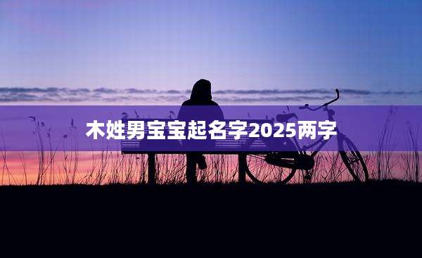 木姓男宝宝起名字2025两字