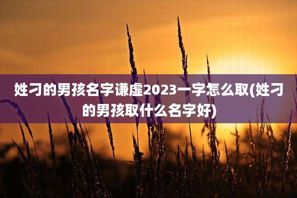 姓刁的男孩名字谦虚2023一字怎么取(姓刁的男孩取什么名字好)