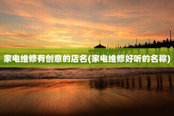 家电维修有创意的店名(家电维修好听的名称)