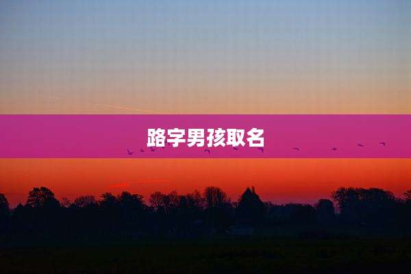 路字男孩取名