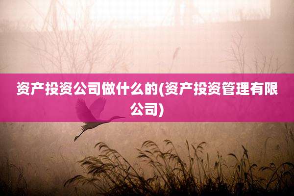 资产投资公司做什么的(资产投资管理有限公司)