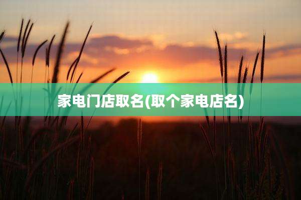 家电门店取名(取个家电店名)