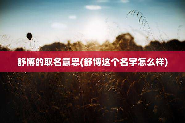 舒博的取名意思(舒博这个名字怎么样)