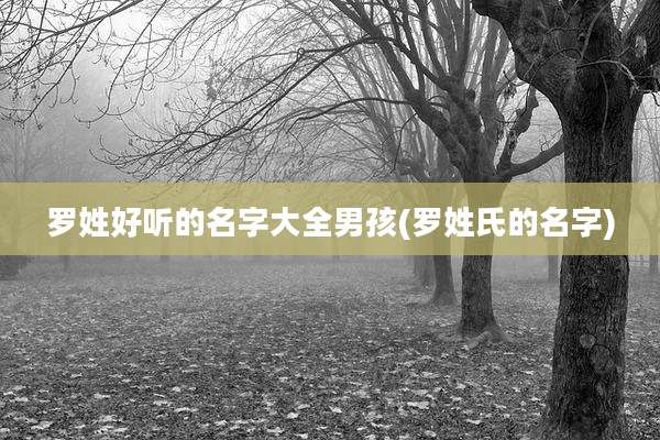 罗姓好听的名字大全男孩(罗姓氏的名字)