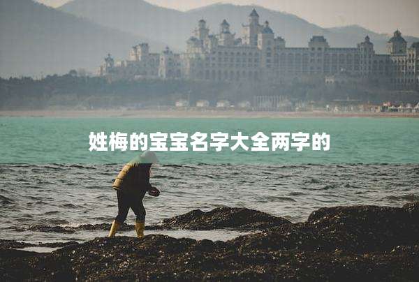 姓梅的宝宝名字大全两字的