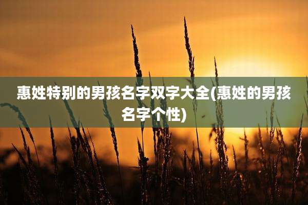 惠姓特别的男孩名字双字大全(惠姓的男孩名字个性)