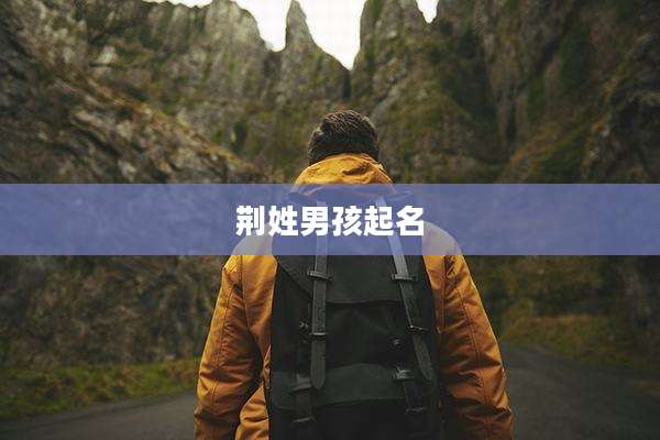 荆姓男孩起名