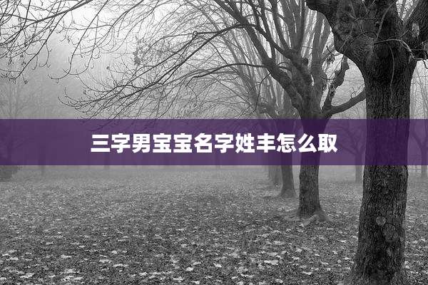 三字男宝宝名字姓丰怎么取