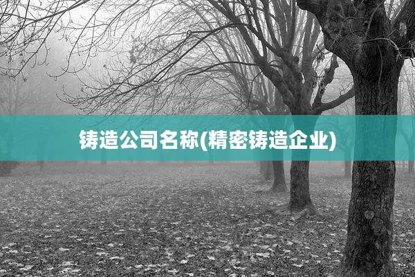 铸造公司名称(精密铸造企业)