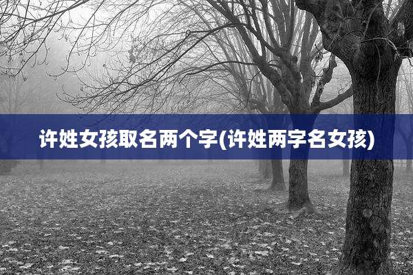 许姓女孩取名两个字(许姓两字名女孩)