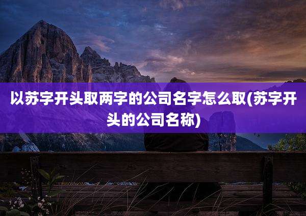 以苏字开头取两字的公司名字怎么取(苏字开头的公司名称)