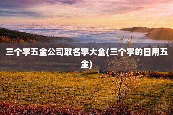 三个字五金公司取名字大全(三个字的日用五金)