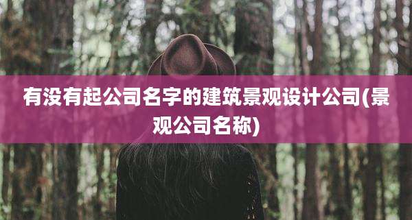 有没有起公司名字的建筑景观设计公司(景观公司名称)