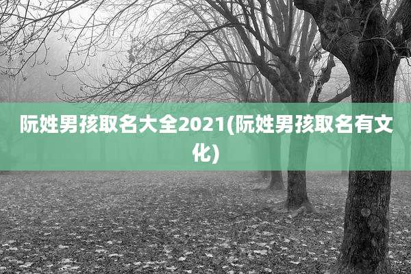 阮姓男孩取名大全2021(阮姓男孩取名有文化)