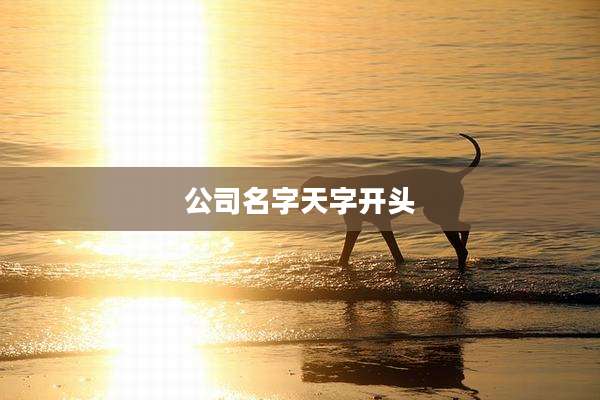 公司名字天字开头
