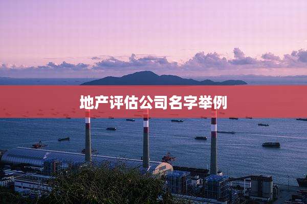 地产评估公司名字举例