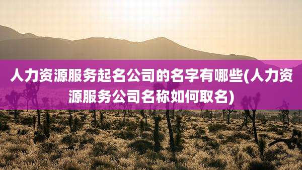 人力资源服务起名公司的名字有哪些(人力资源服务公司名称如何取名)