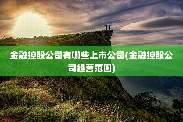 金融控股公司有哪些上市公司(金融控股公司经营范围)