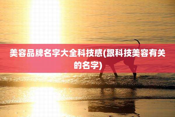美容品牌名字大全科技感(跟科技美容有关的名字)