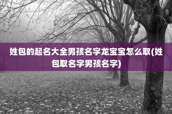 姓包的起名大全男孩名字龙宝宝怎么取(姓包取名字男孩名字)