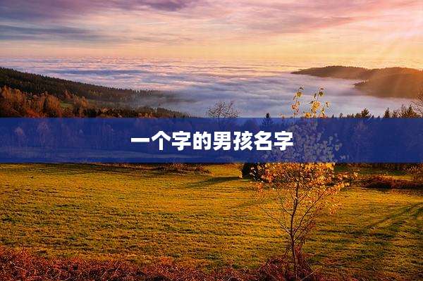 一个字的男孩名字