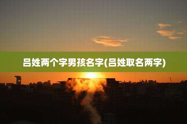 吕姓两个字男孩名字(吕姓取名两字)