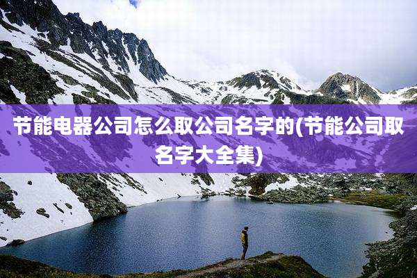 节能电器公司怎么取公司名字的(节能公司取名字大全集)