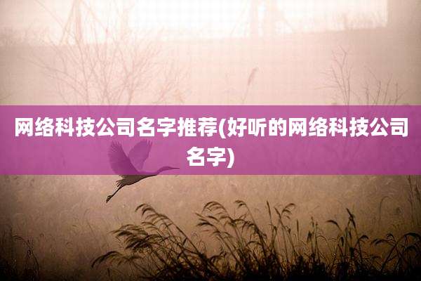 网络科技公司名字推荐(好听的网络科技公司名字)