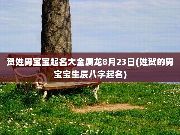 贺姓男宝宝起名大全属龙8月23日(姓贺的男宝宝生辰八字起名)