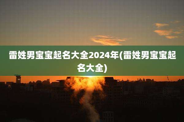 雷姓男宝宝起名大全2024年(雷姓男宝宝起名大全)